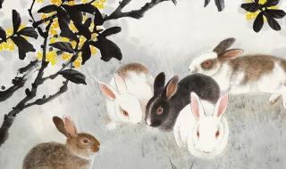 最笨的生肖是哪个生肖