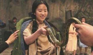 林更新P图回复刘亦菲