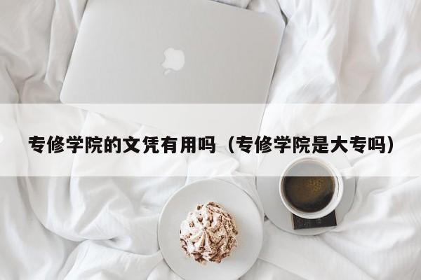 专修学院的文凭有用吗(专修学院是大专吗)